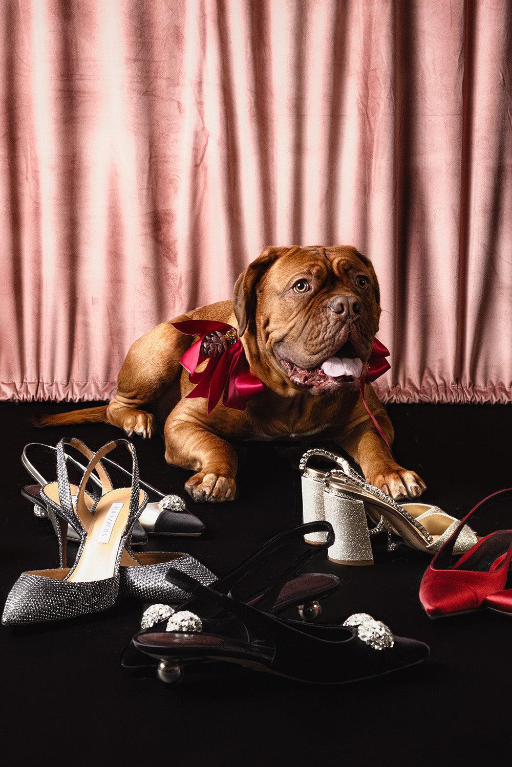 Crystal Embellished Slingback Heels-BLACK-36.5-SHOEPUMP-GIAMBATTISTA VALLI